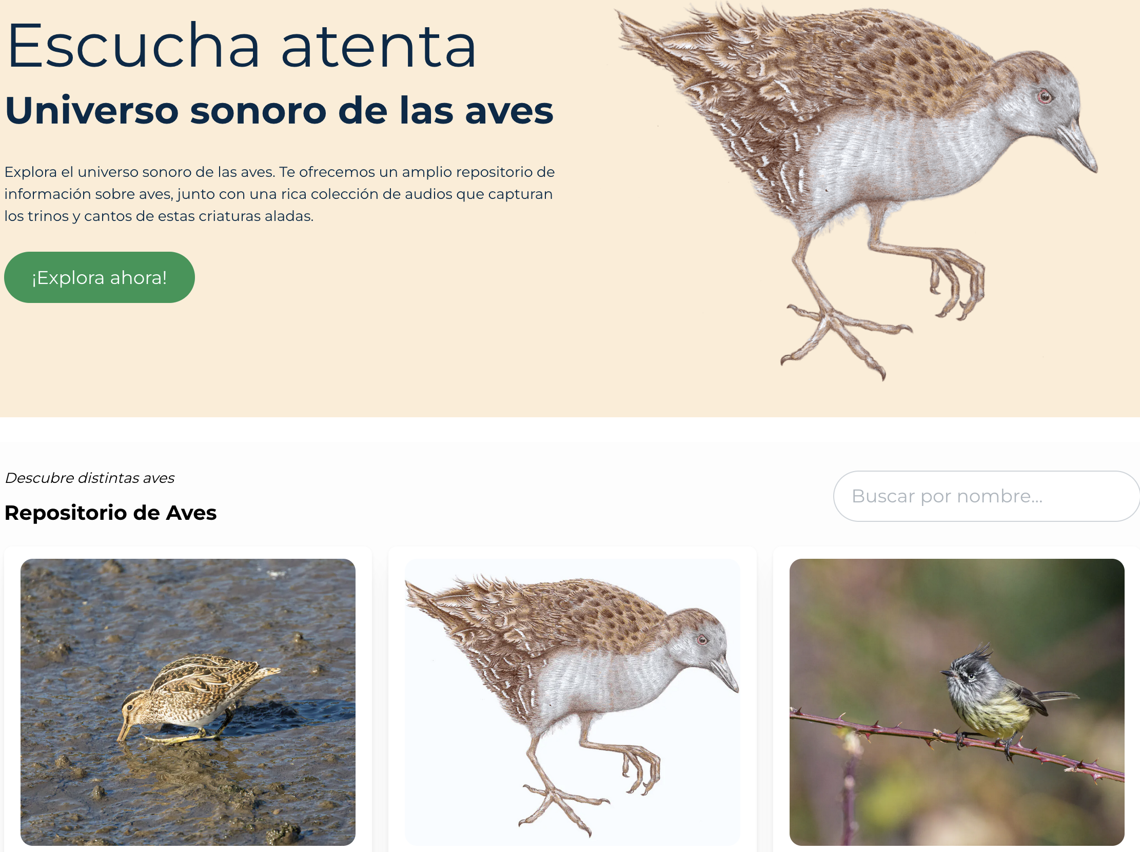 La imagen tiene un atributo ALT vacío; su nombre de archivo es Screenshot-2024-08-20-at-21.52.34.png